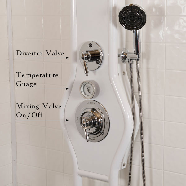 The VaVoom Vichy Shower Control Panel